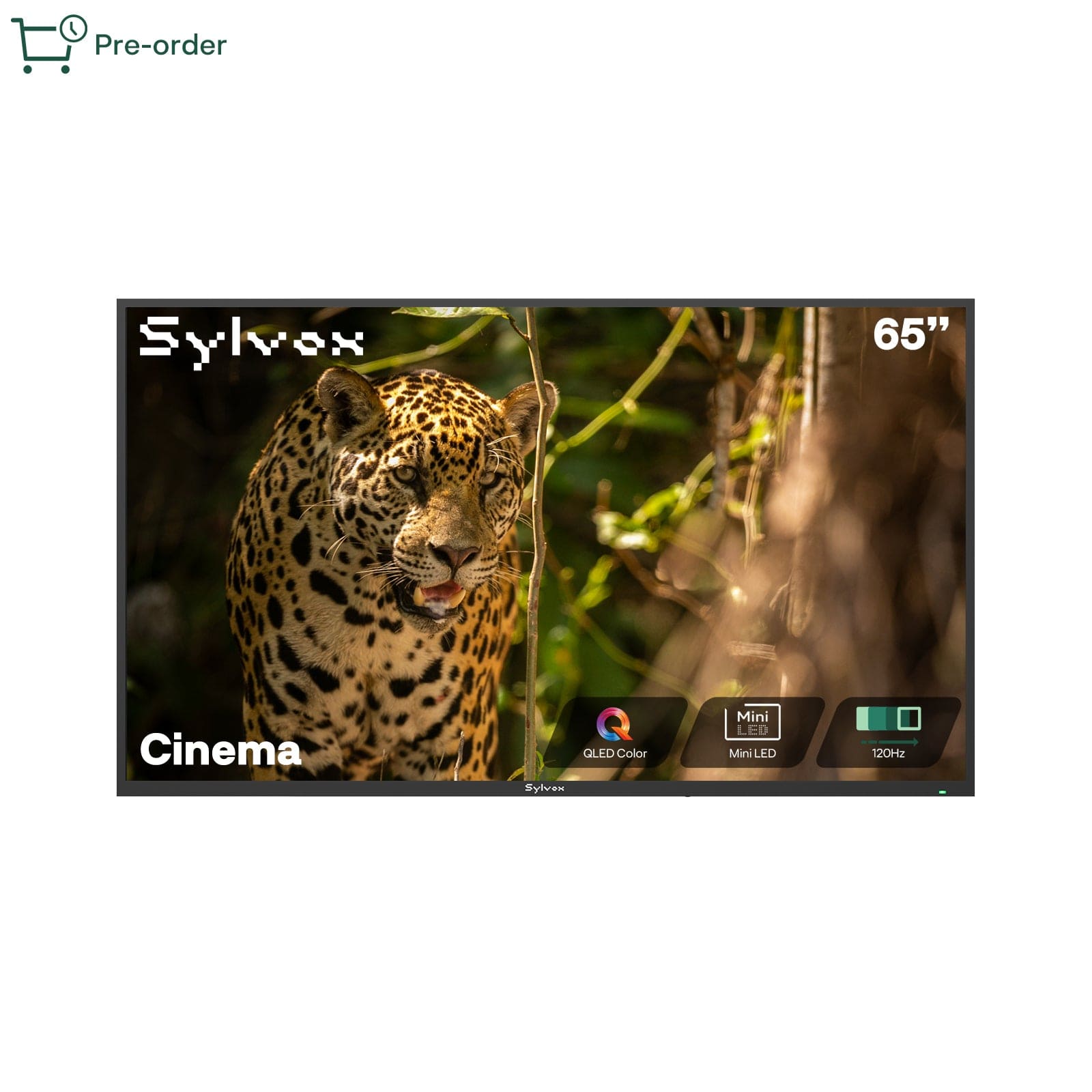 Sylvox Cinema 65" Helio QLED 120HZ Outdoor TV(2000Nits)-2025 Model
