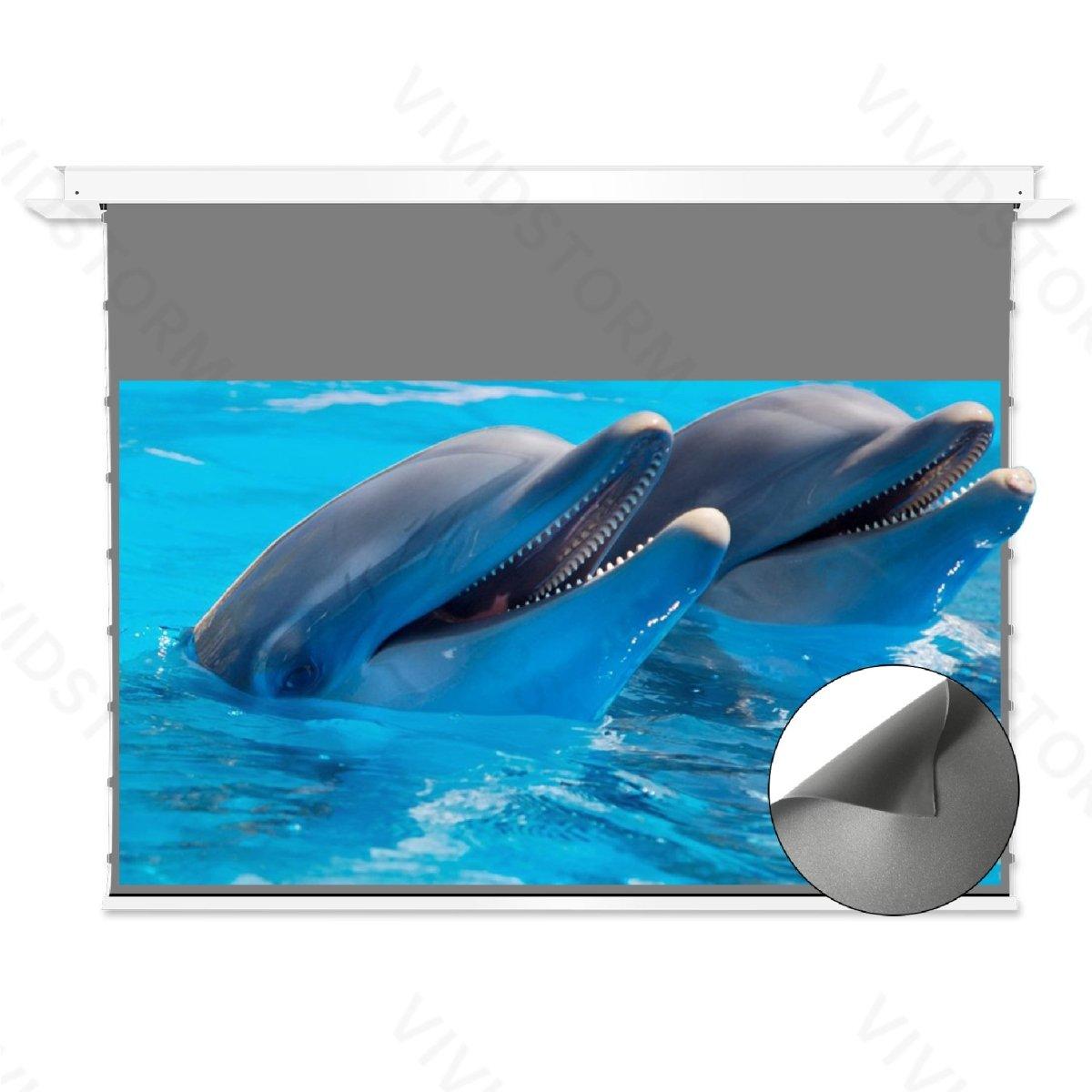 VIVIDSTORM PHANTOM Recessed In-Ceiling Motorized Tension Obsidian Long Throw ALR Projector screen