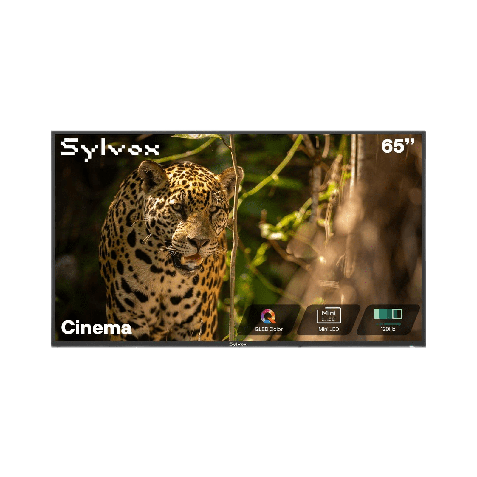 Sylvox Cinema 65" Helio QLED 120HZ Outdoor TV(2000Nits)-2025 Model