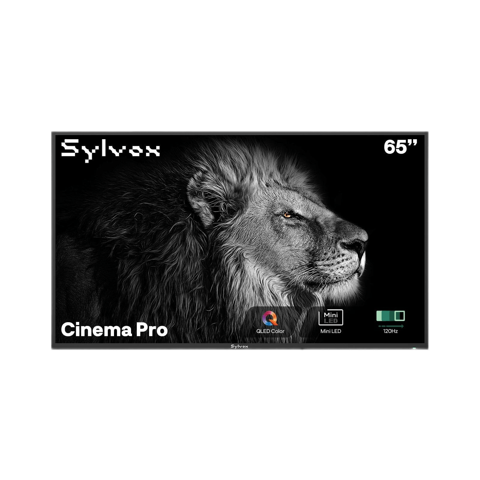 Sylvox Cinema Pro 65" Helio QLED 120HZ Outdoor TV(3500Nits)-2025 Model