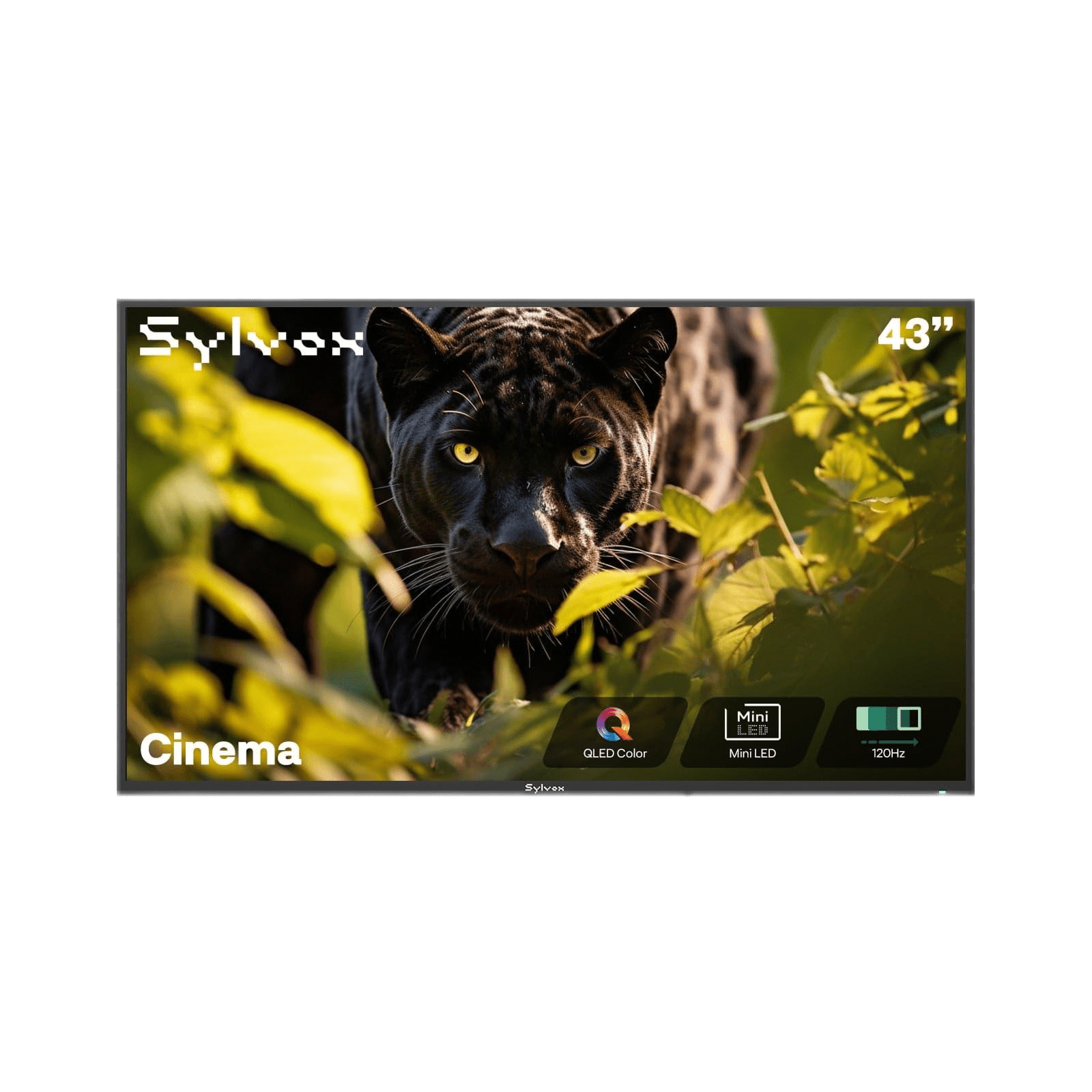 Sylvox Cinema 43" Helio QLED 120HZ Outdoor TV(2000Nits)-2025 Model