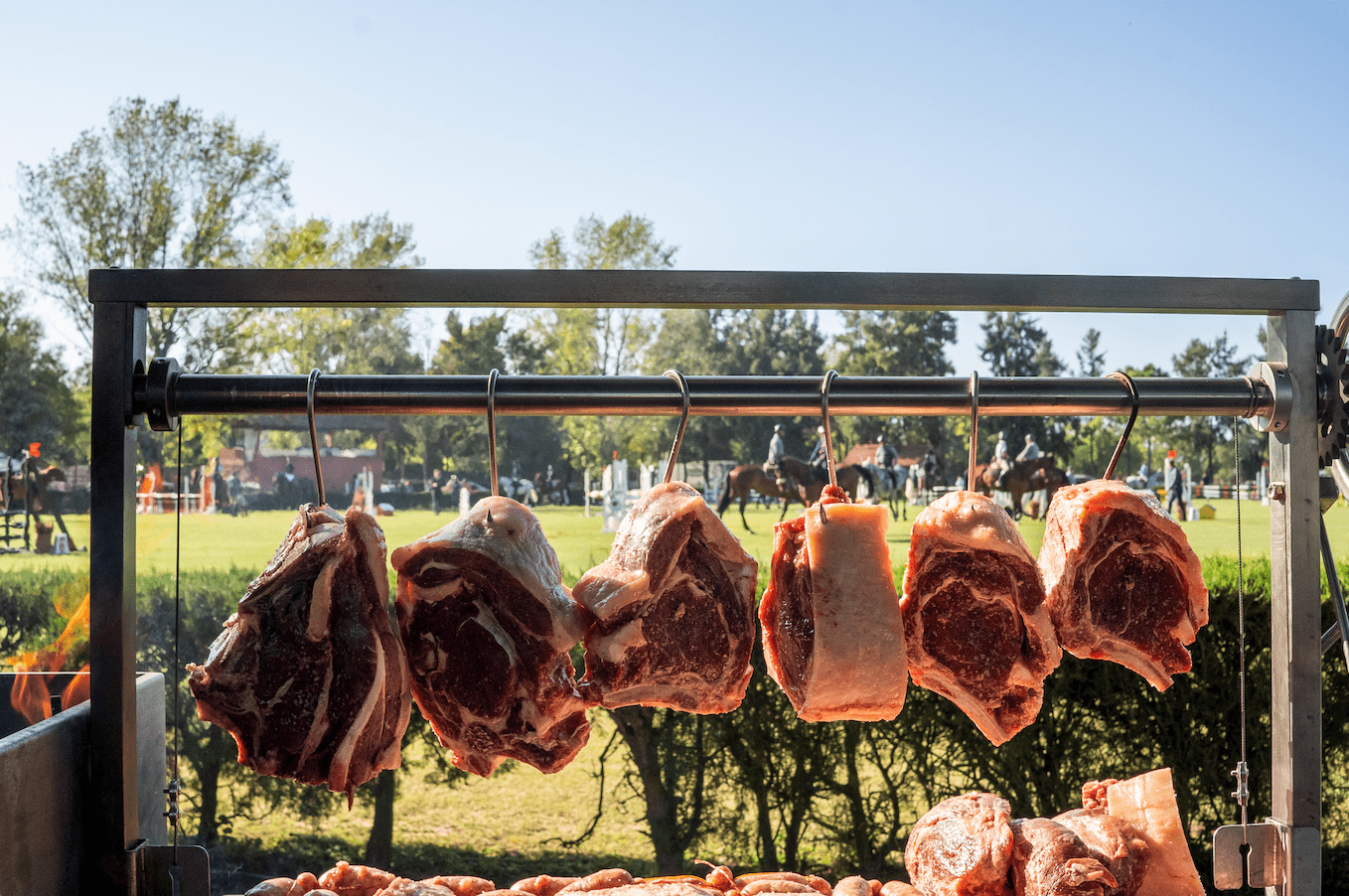 Tagwood BBQ S shape meat hooks ( set of 7) | BBQ56SS-