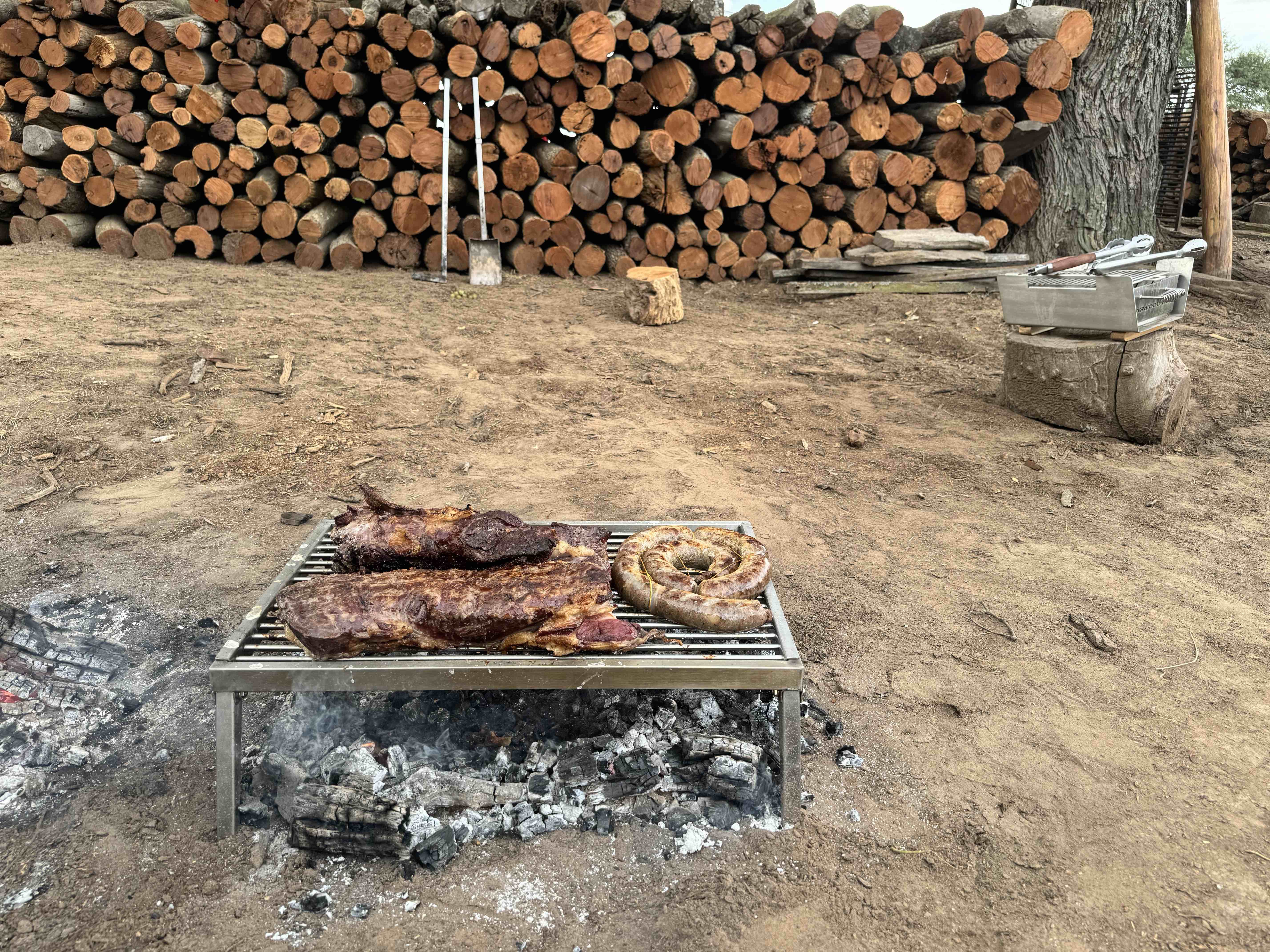 Tagwood BBQ Portable fixed grill BBQ93SS--