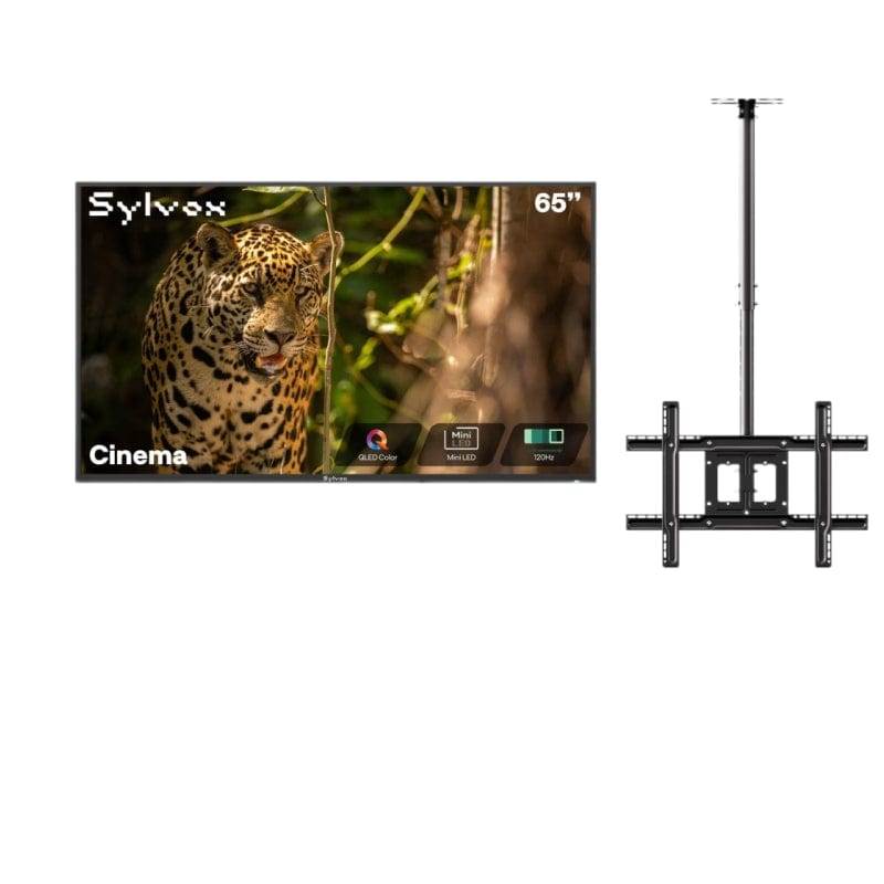 Sylvox Cinema 65" Helio QLED 120HZ Outdoor TV(2000Nits)-2025 Model