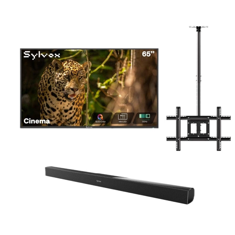 Sylvox Cinema 65" Helio QLED 120HZ Outdoor TV(2000Nits)-2025 Model