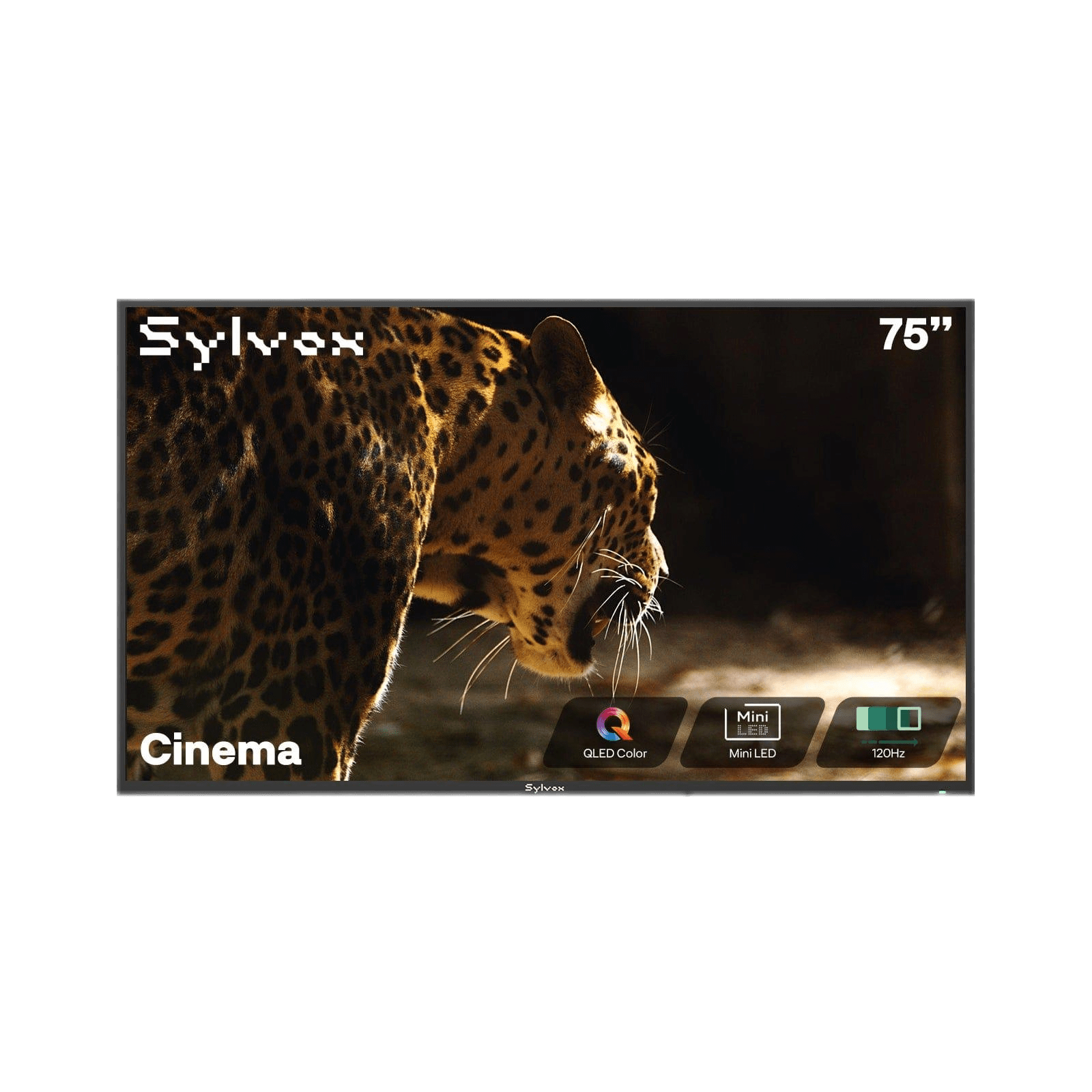 Sylvox Cinema 75" Helio QLED 120HZ Outdoor TV(2000Nits)-2025 Model