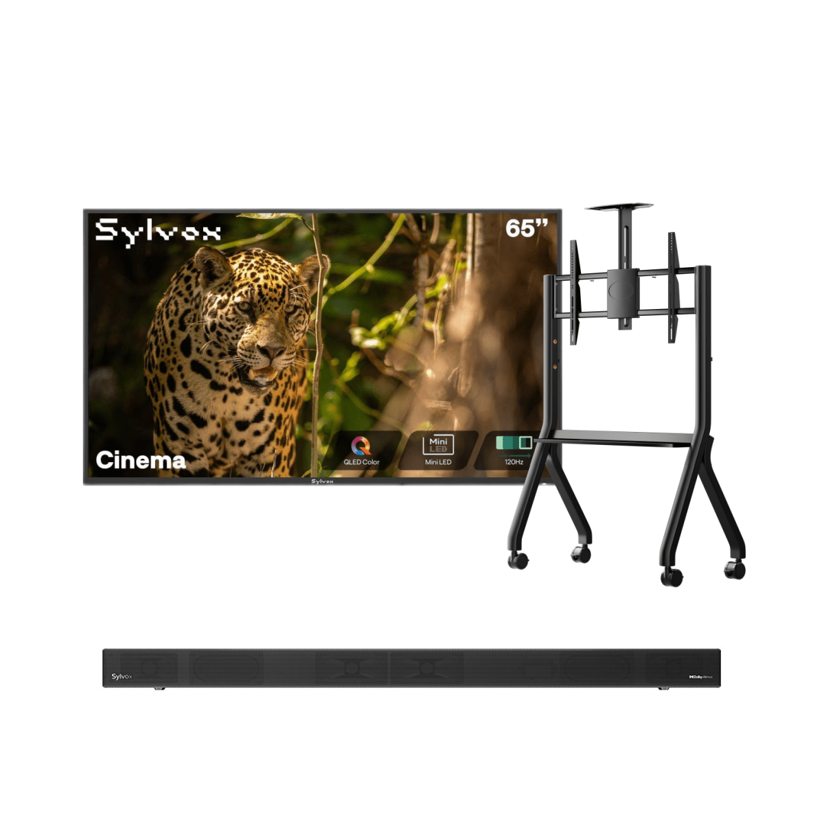 Sylvox Cinema 65" Helio QLED 120HZ Outdoor TV(2000Nits)-2025 Model