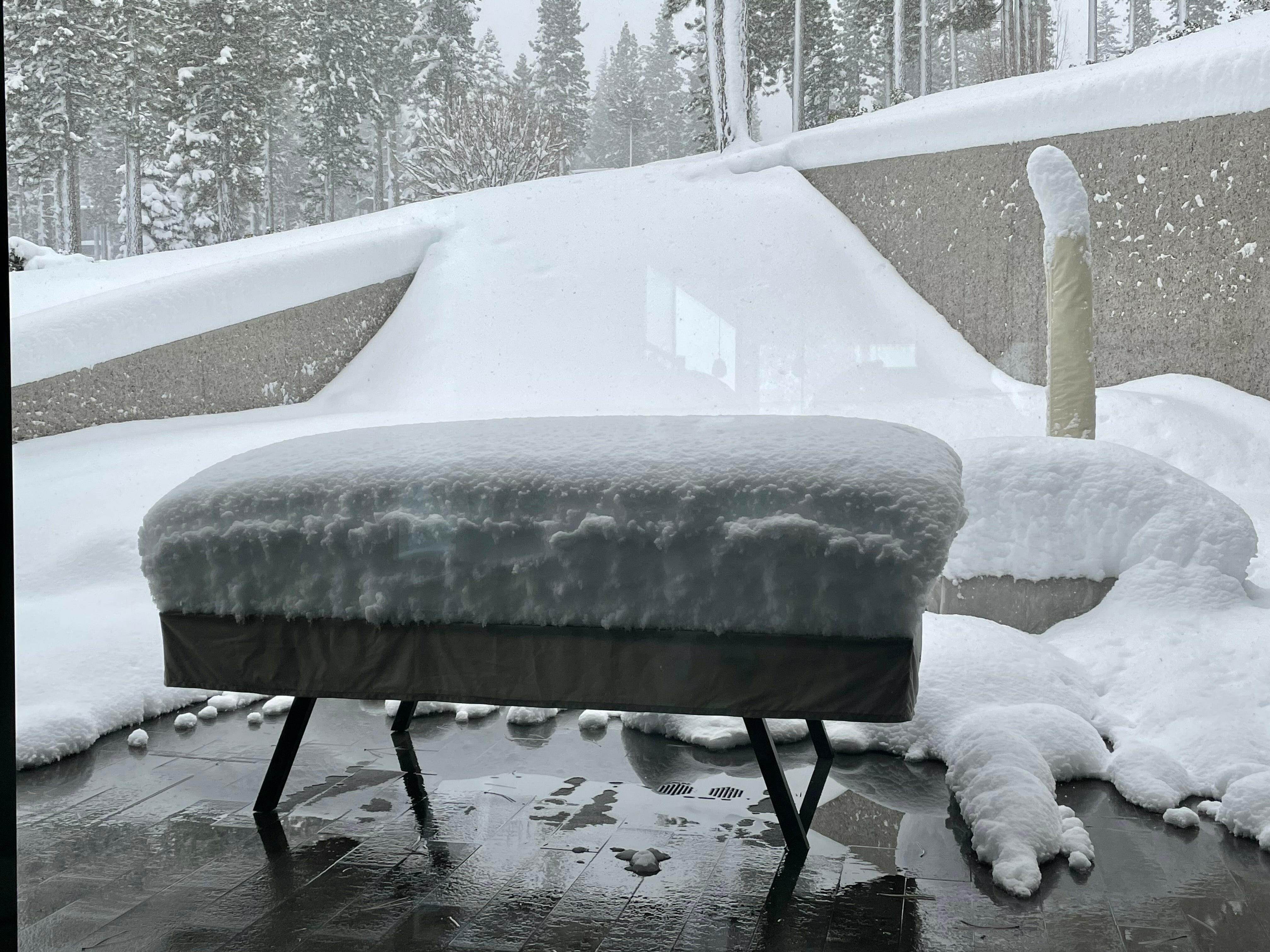 Sean Woolsey Outdoor Ping Pong Table