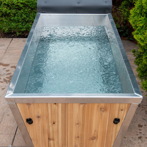 Dundalk Leisurecraft The Polar Plunge Tub-CT362PP