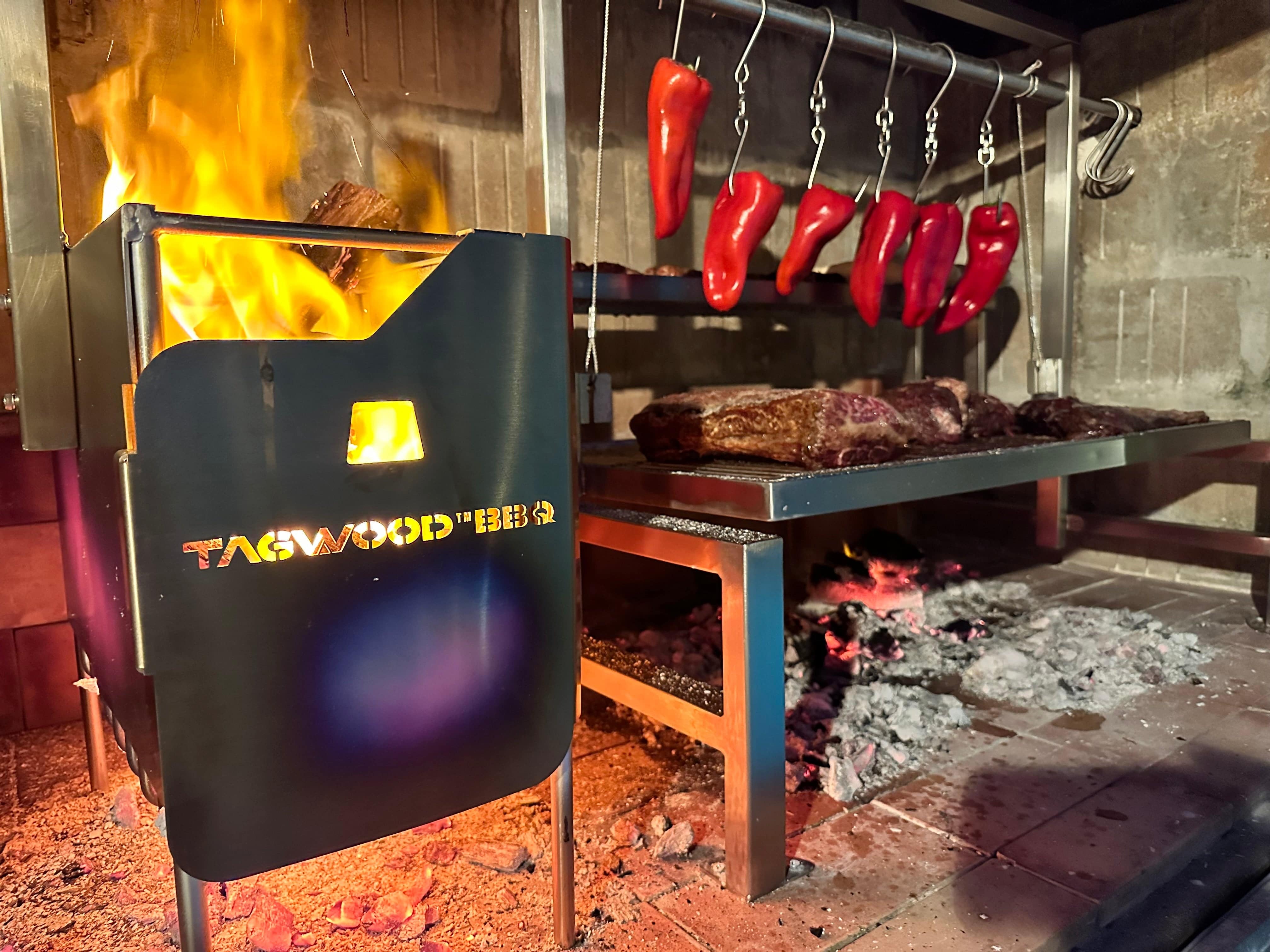 Tagwood BBQ Insert Style Argentine Santa Maria Wood Fire & Charcoal Gaucho Grill without firebricks | BBQ09SS -
