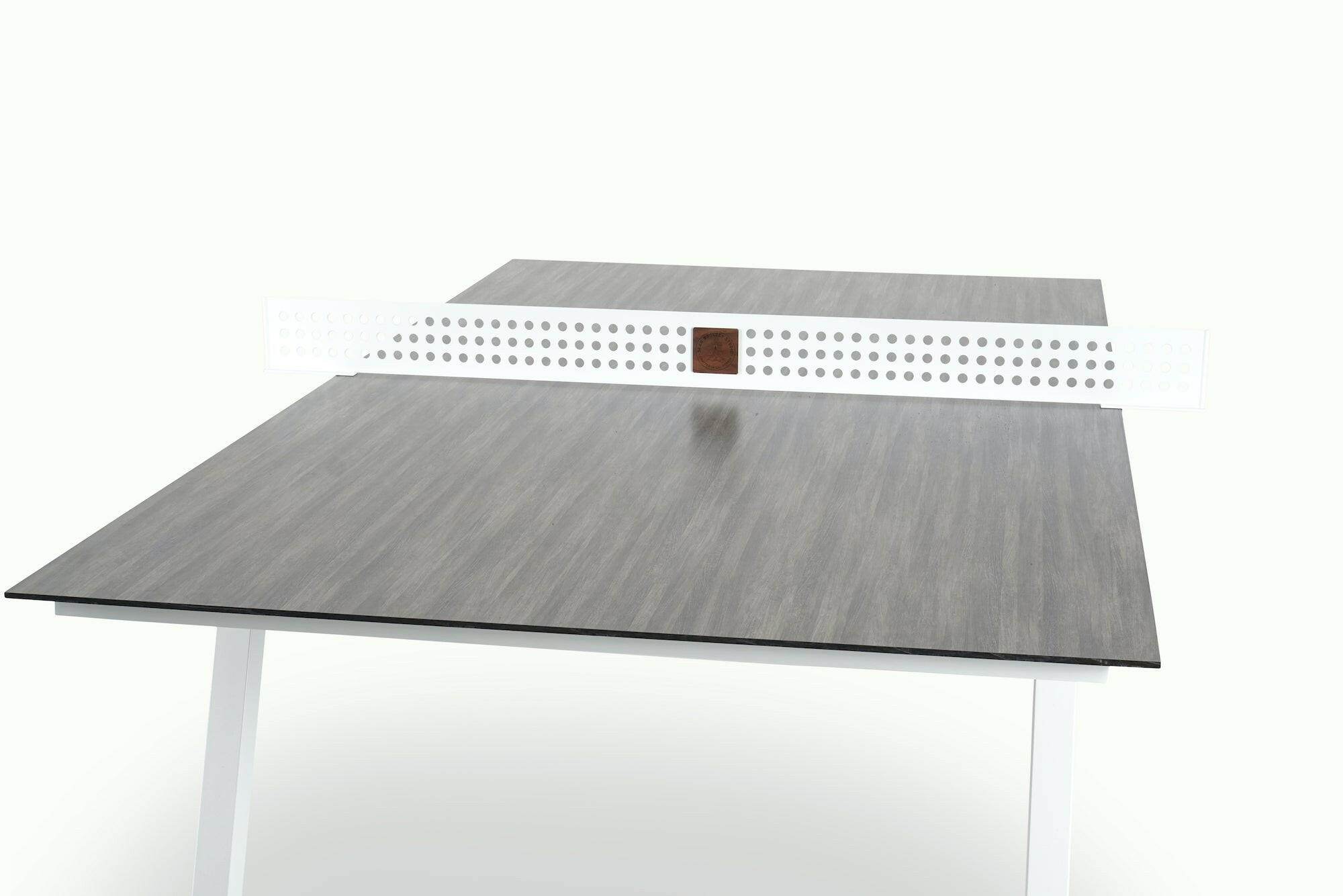Sean Woolsey Outdoor Ping Pong Table