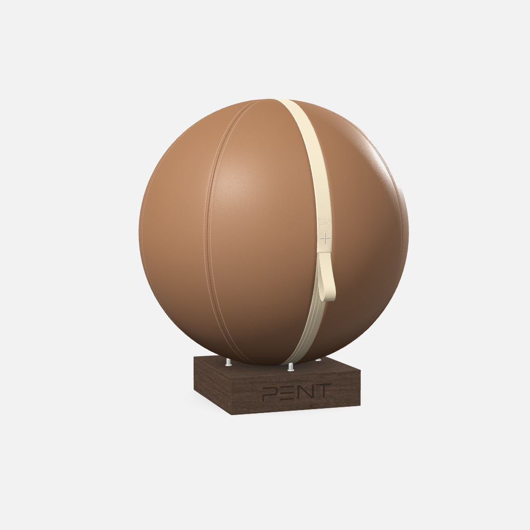 Mesno Exercise Ball