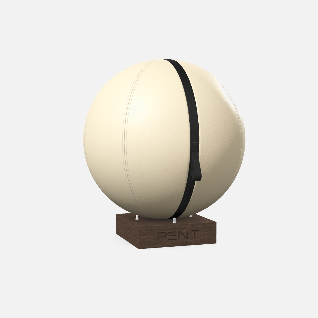 Mesno Exercise Ball