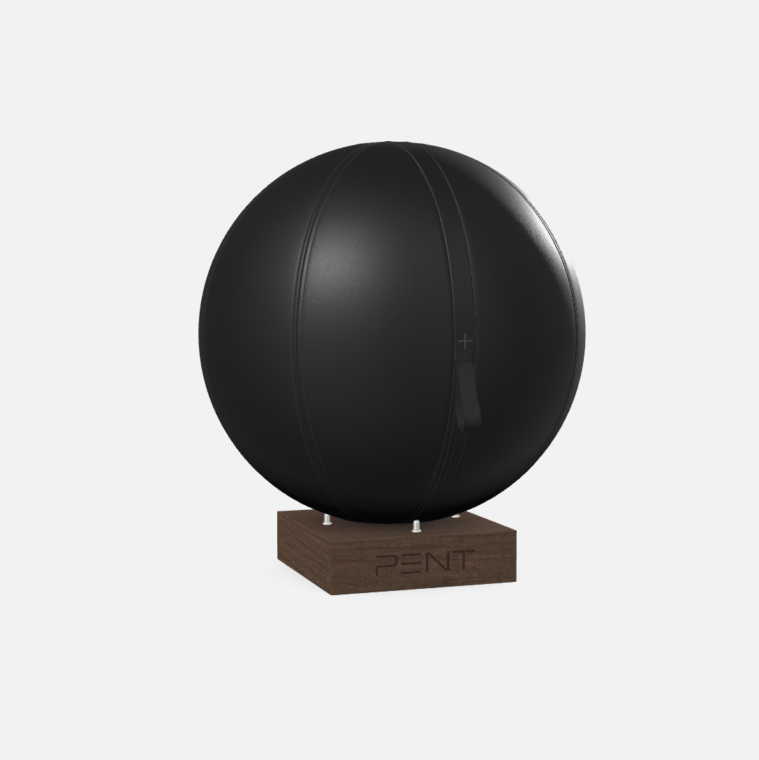 Mesno Exercise Ball