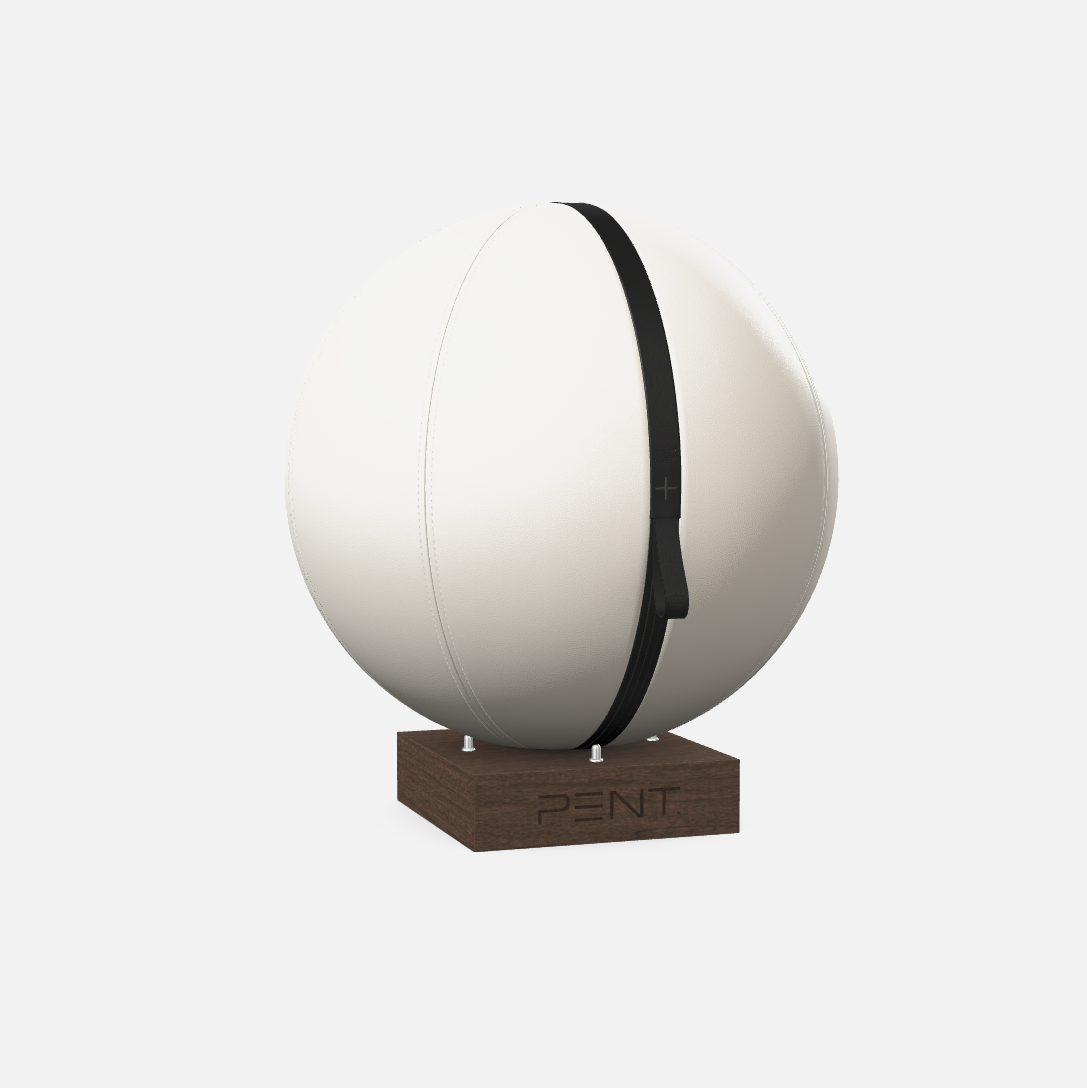 Mesno Exercise Ball