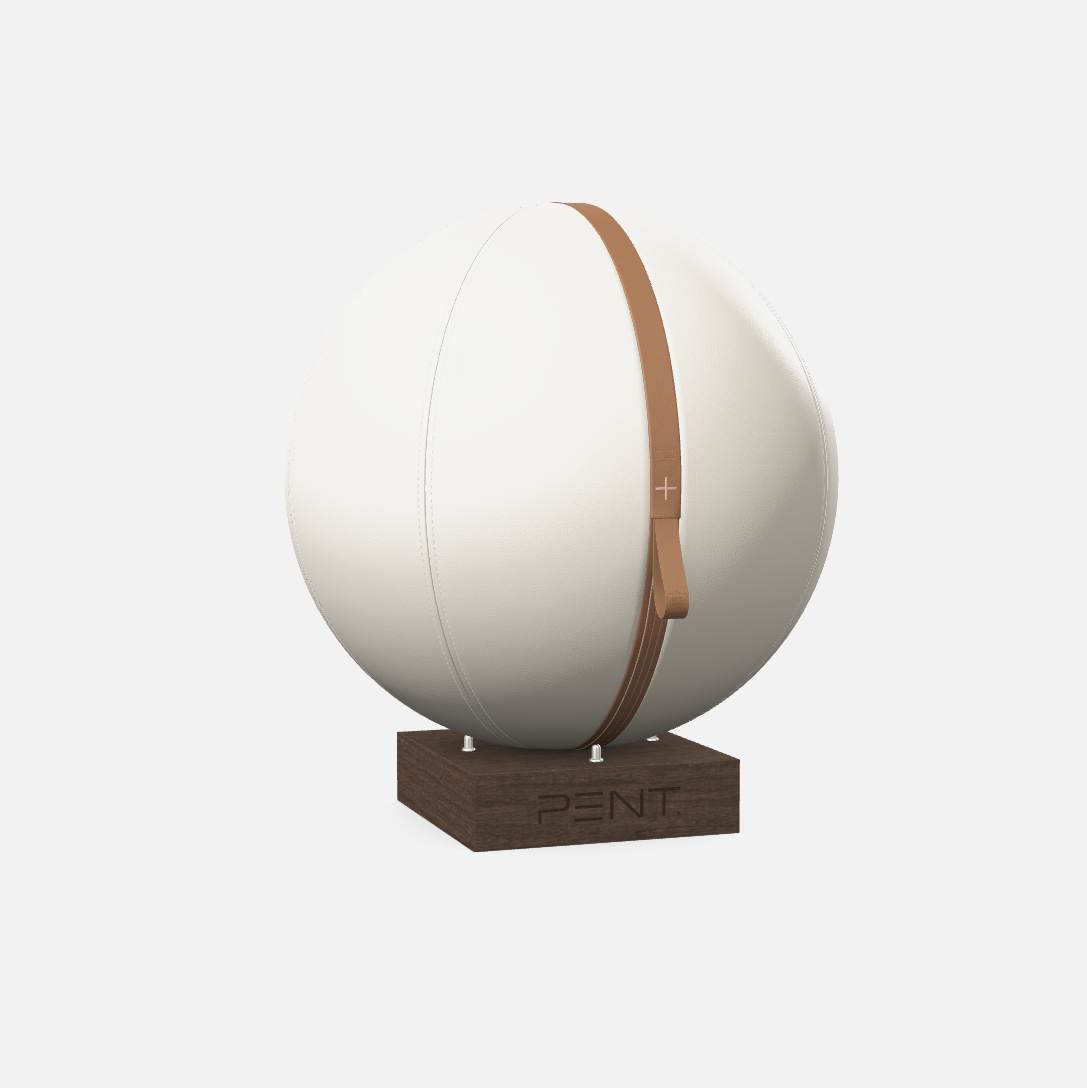Mesno Exercise Ball