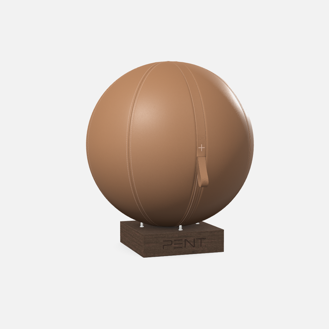 Mesno Exercise Ball