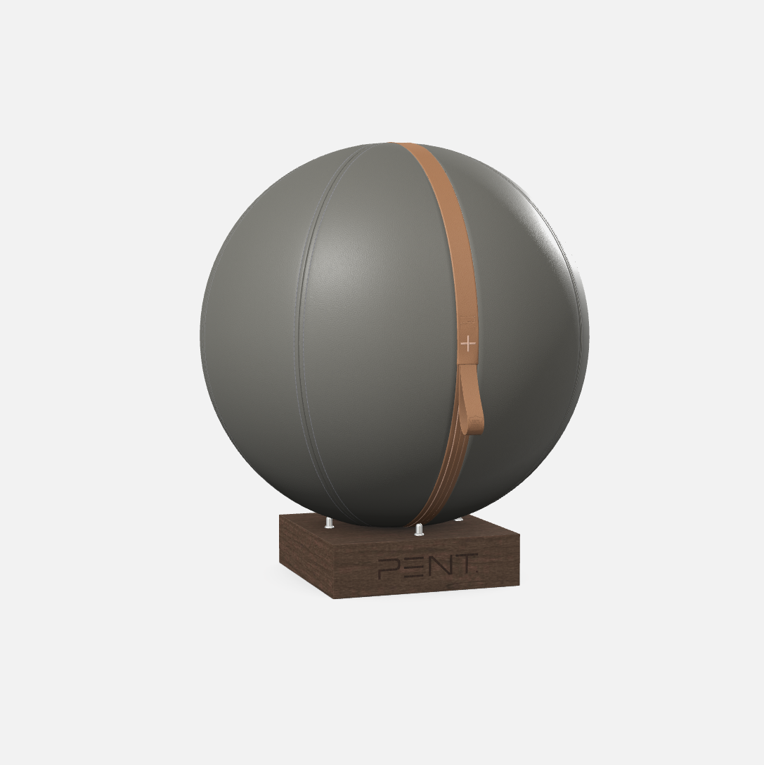 Mesno Exercise Ball