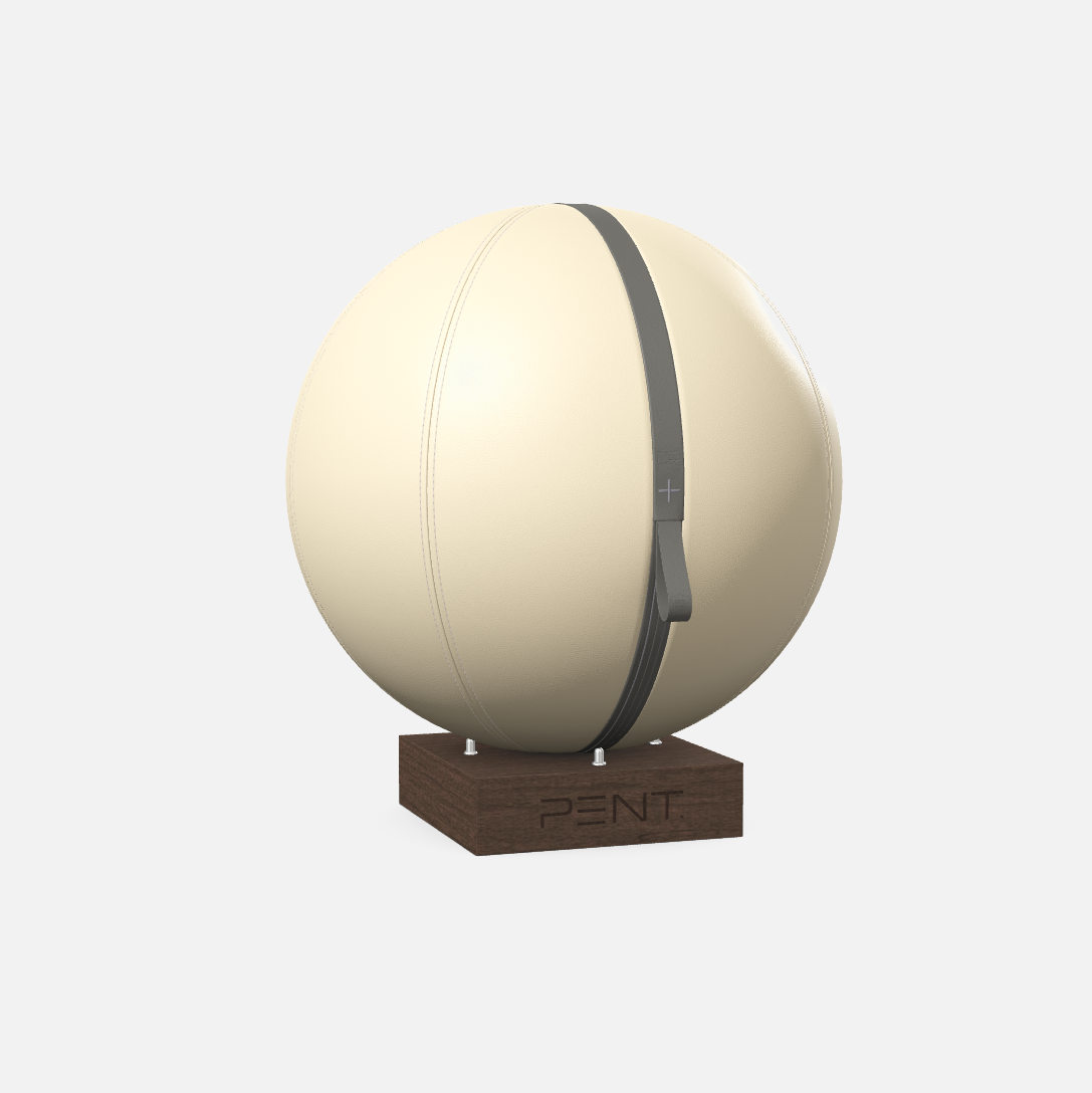 Mesno Exercise Ball