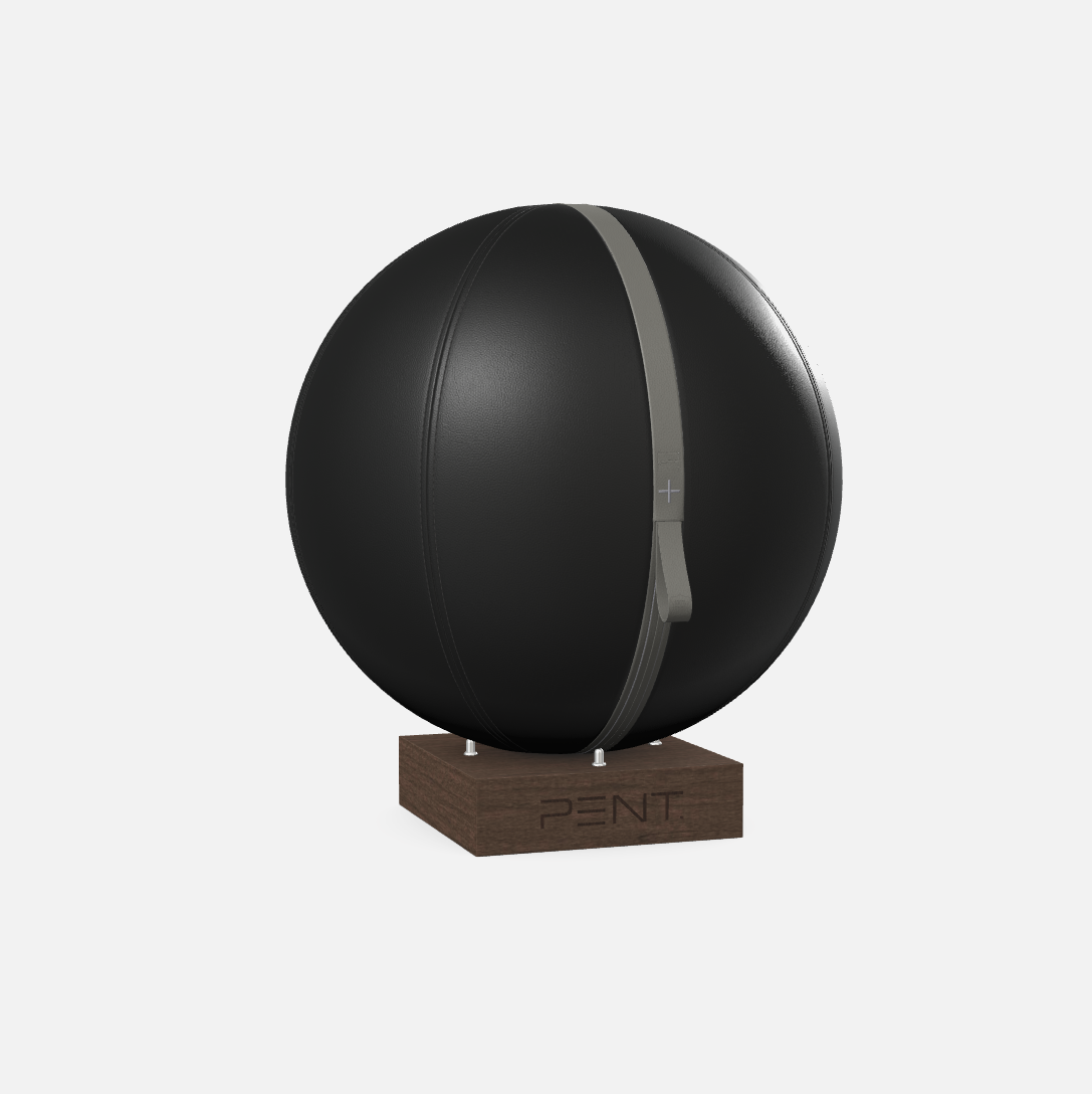 Mesno Exercise Ball