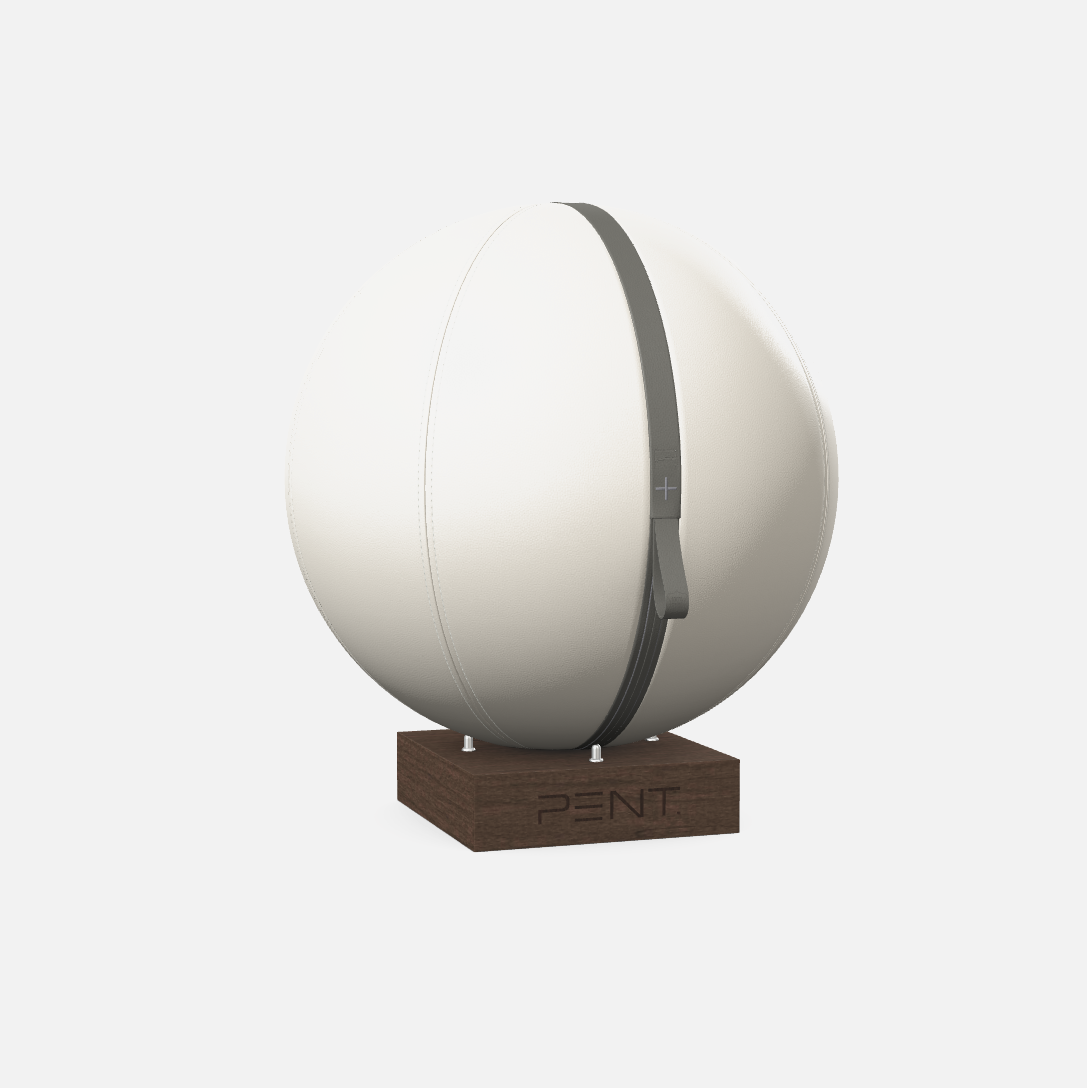 Mesno Exercise Ball