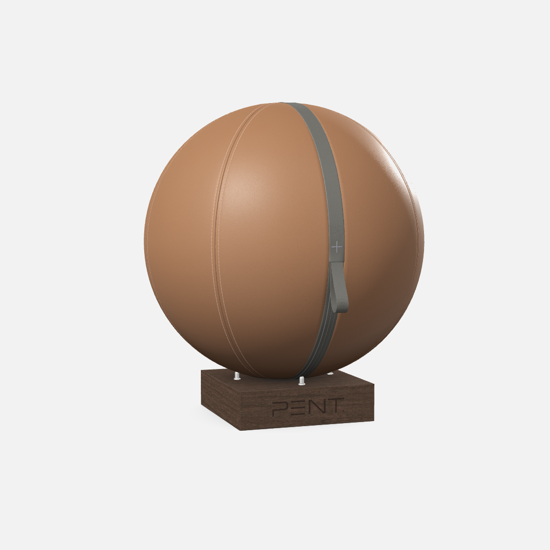 Mesno Exercise Ball