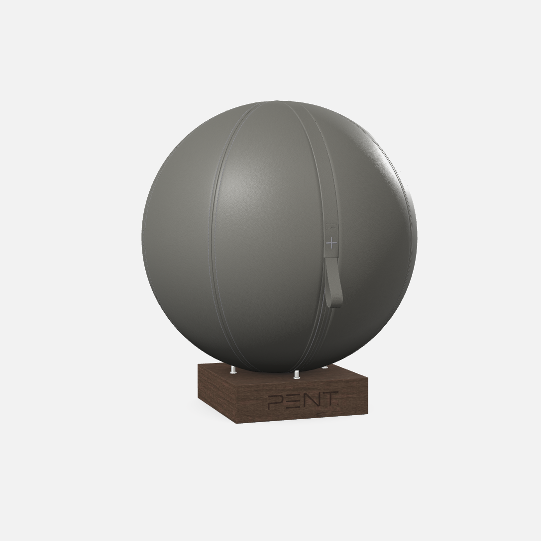 Mesno Exercise Ball