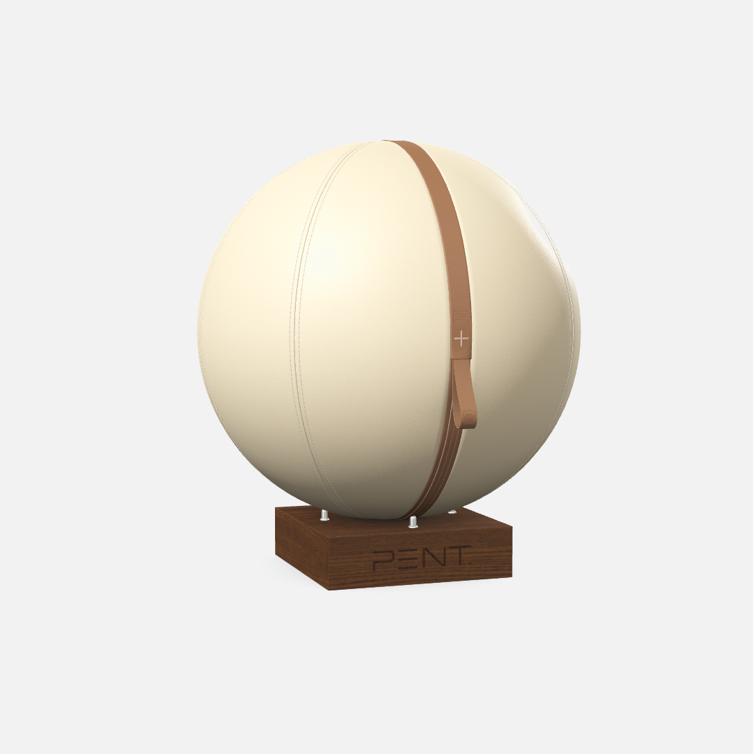 Mesno Exercise Ball