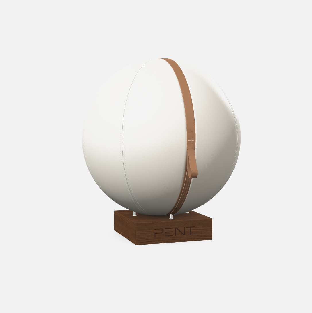 Mesno Exercise Ball