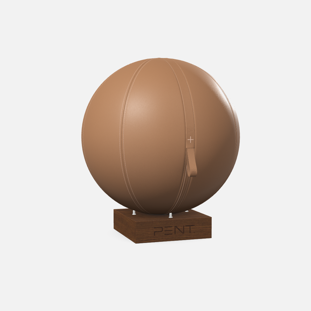 Mesno Exercise Ball