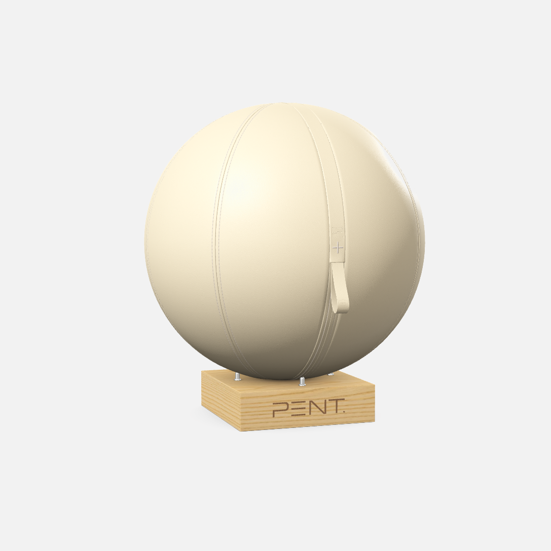Mesno Exercise Ball