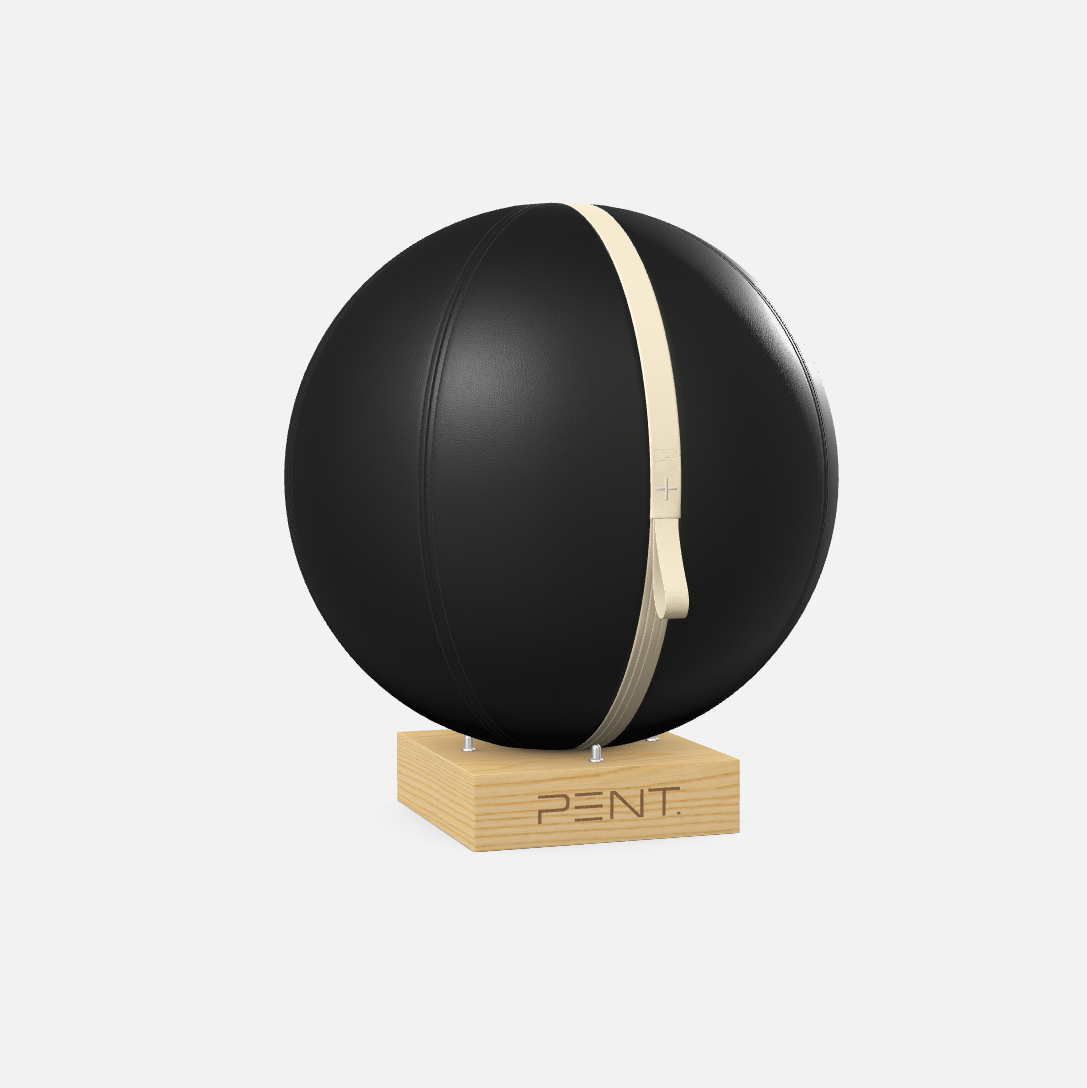 Mesno Exercise Ball
