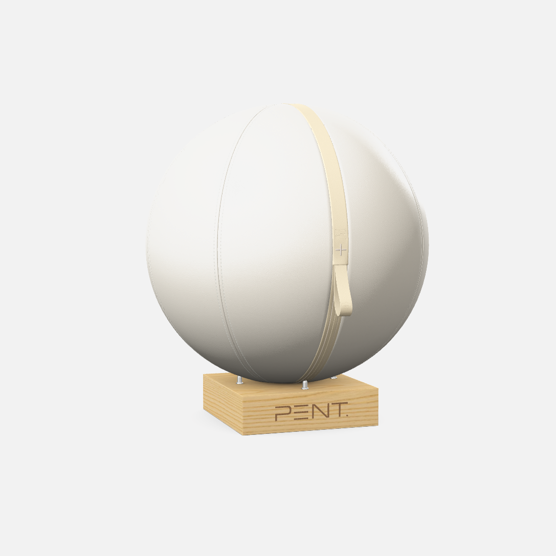 Mesno Exercise Ball