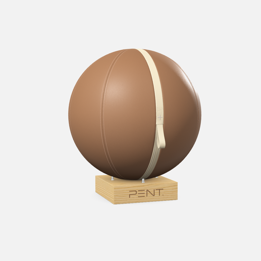 Mesno Exercise Ball