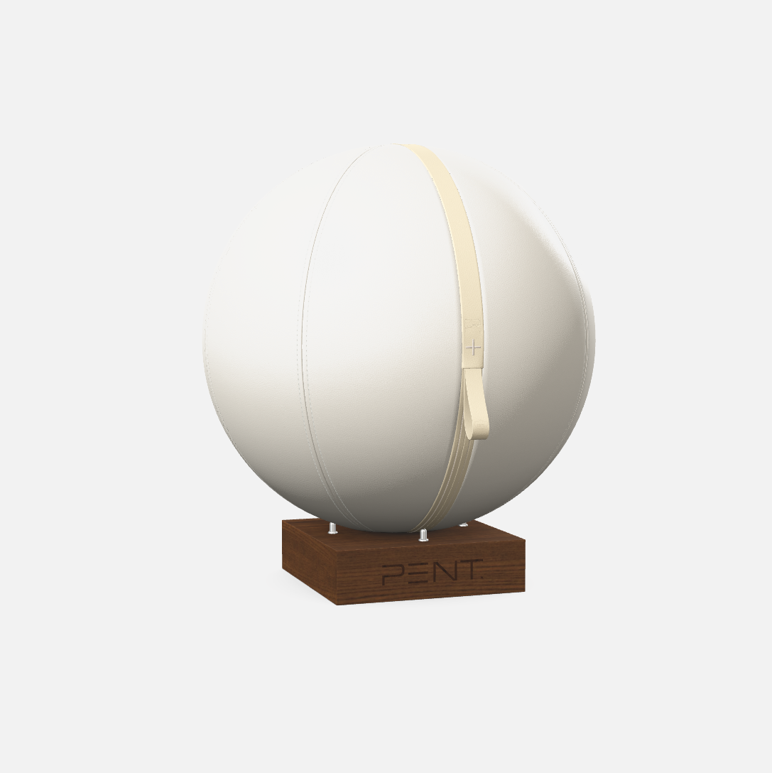 Mesno Exercise Ball