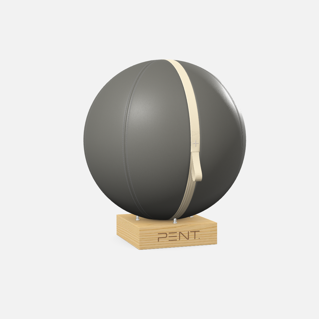 Mesno Exercise Ball