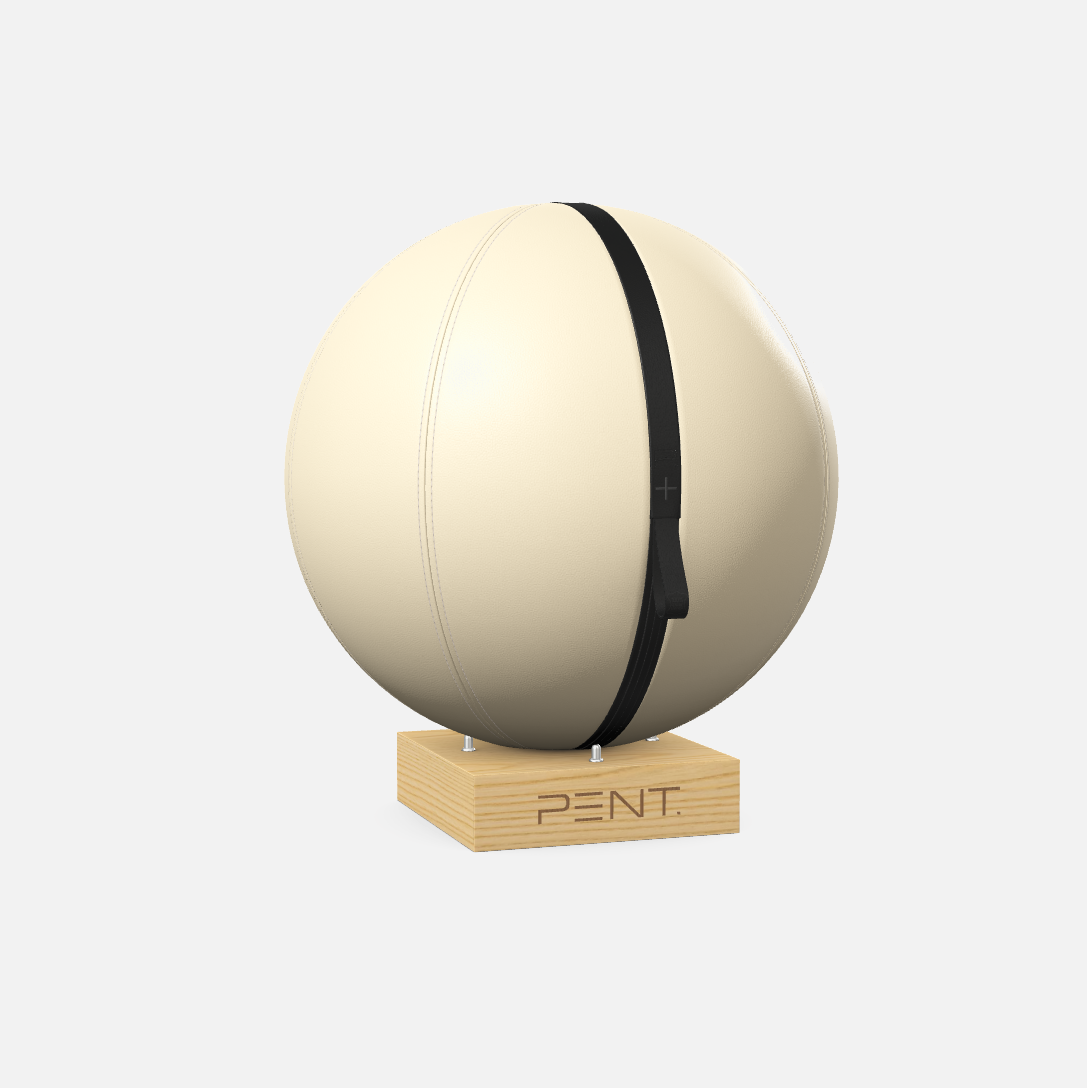 Mesno Exercise Ball