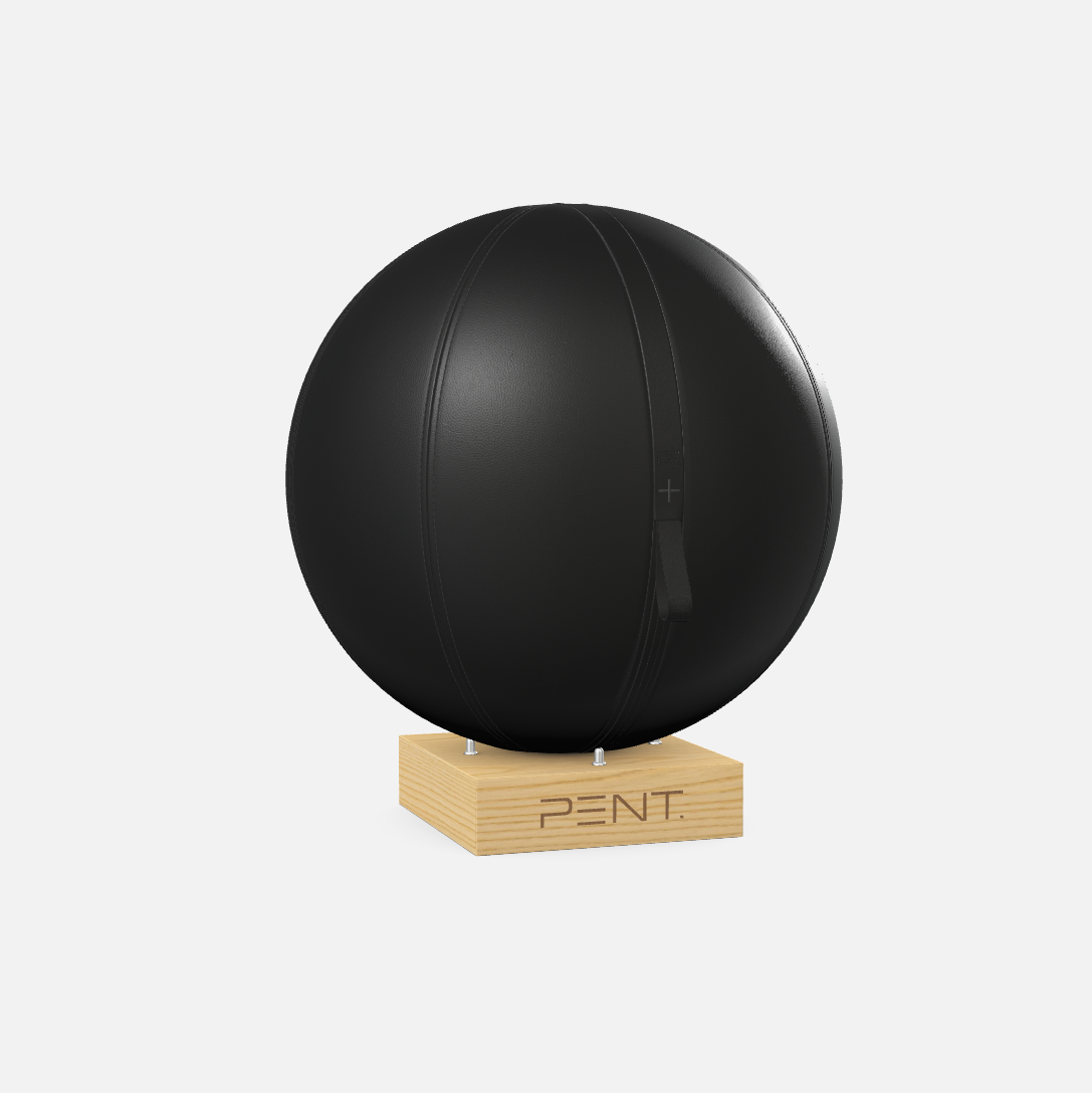 Mesno Exercise Ball