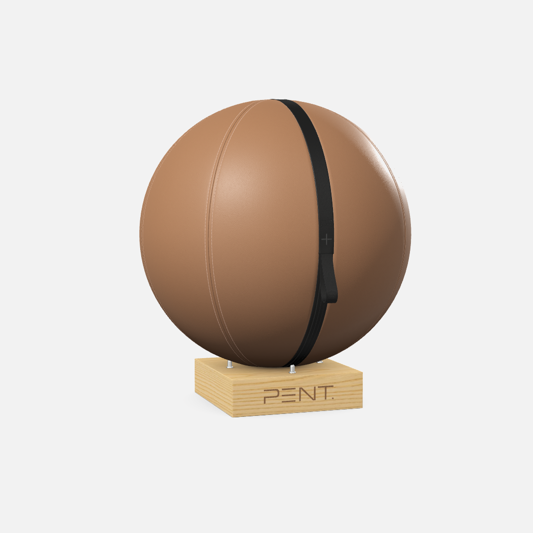 Mesno Exercise Ball