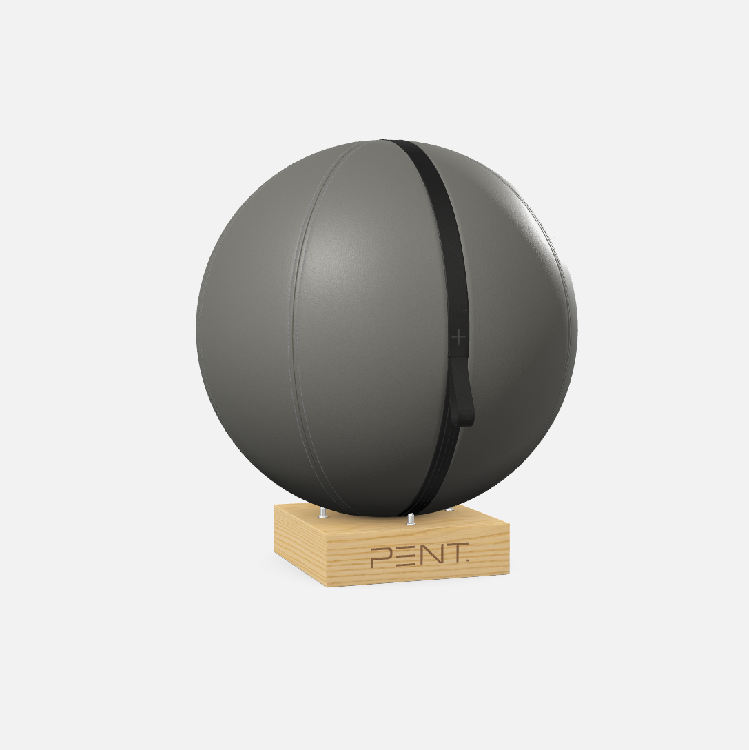 Mesno Exercise Ball