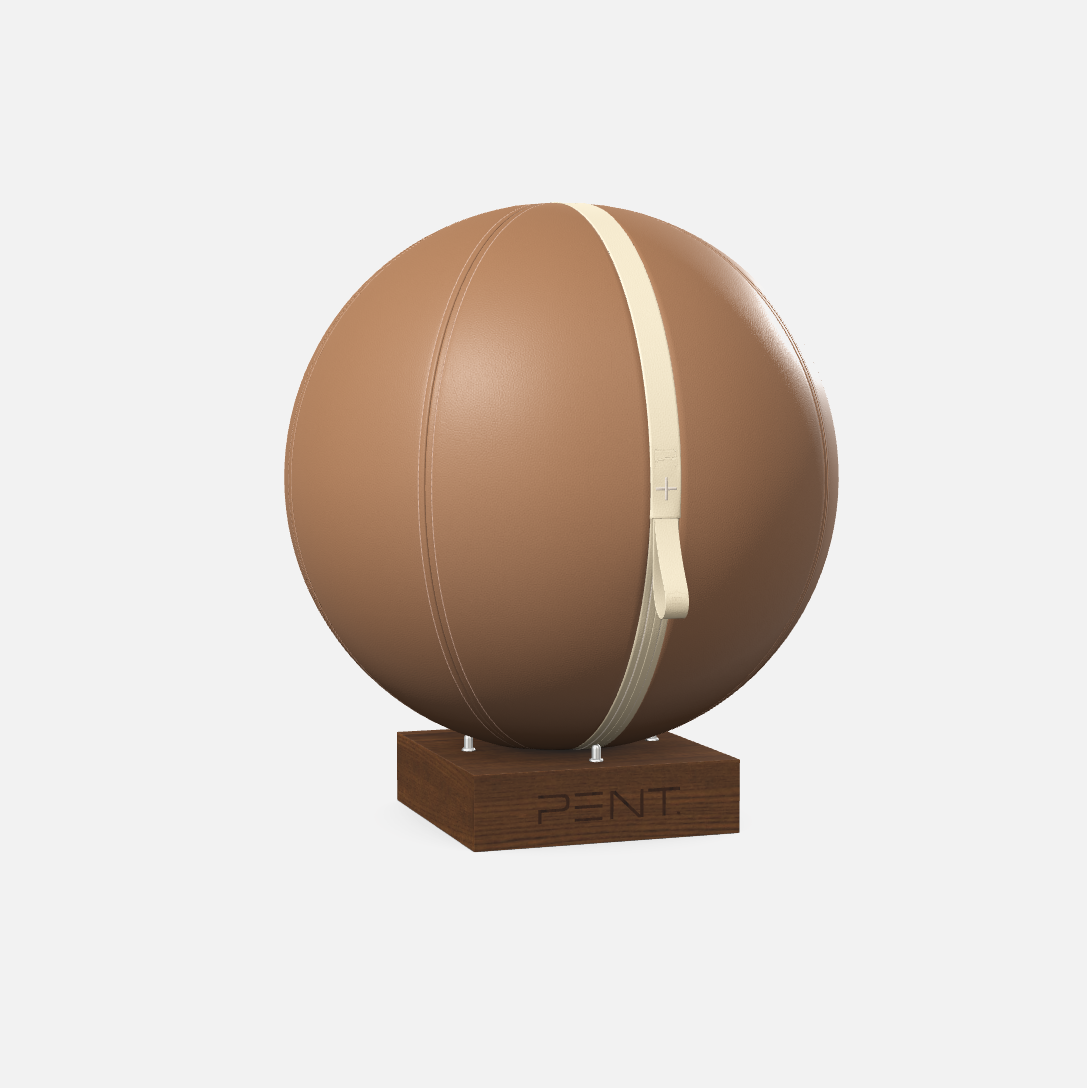 Mesno Exercise Ball