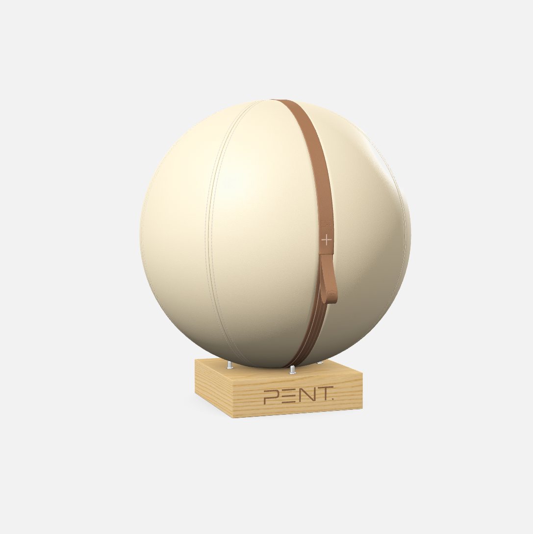 Mesno Exercise Ball