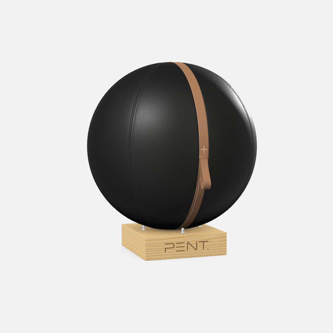 Mesno Exercise Ball