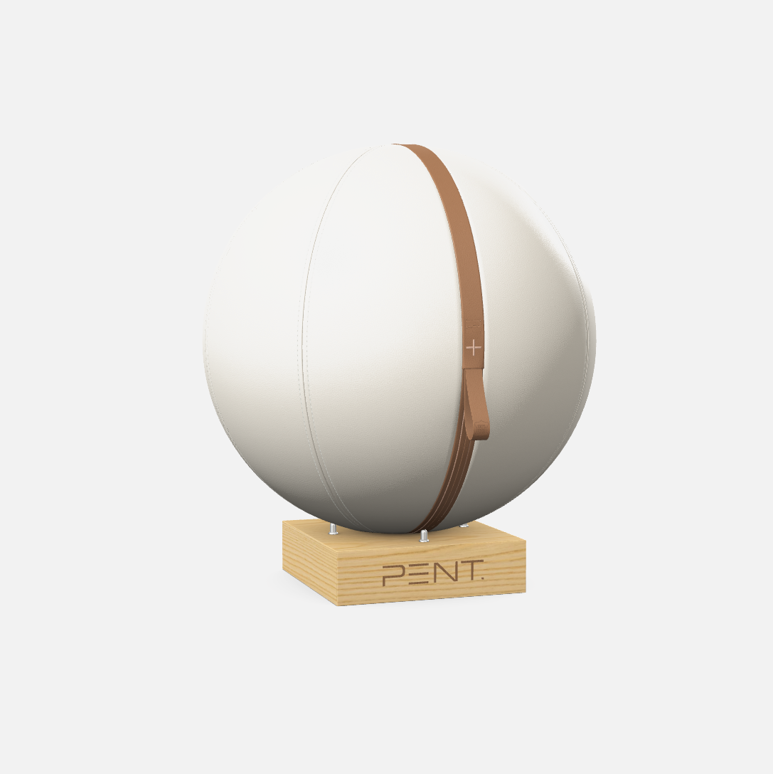 Mesno Exercise Ball
