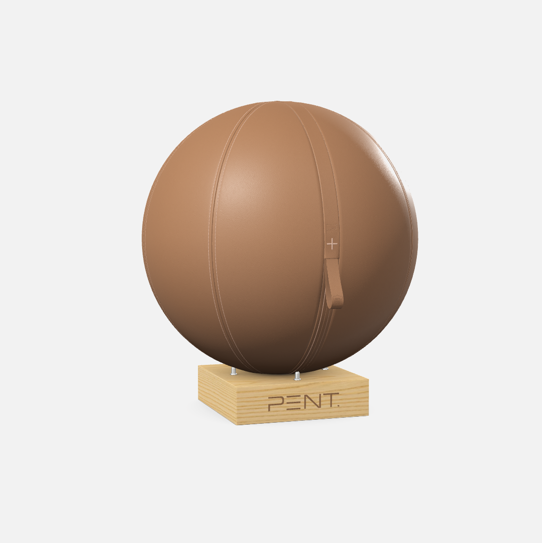 Mesno Exercise Ball