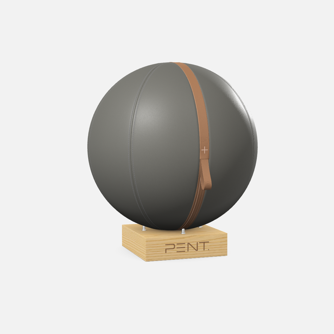 Mesno Exercise Ball