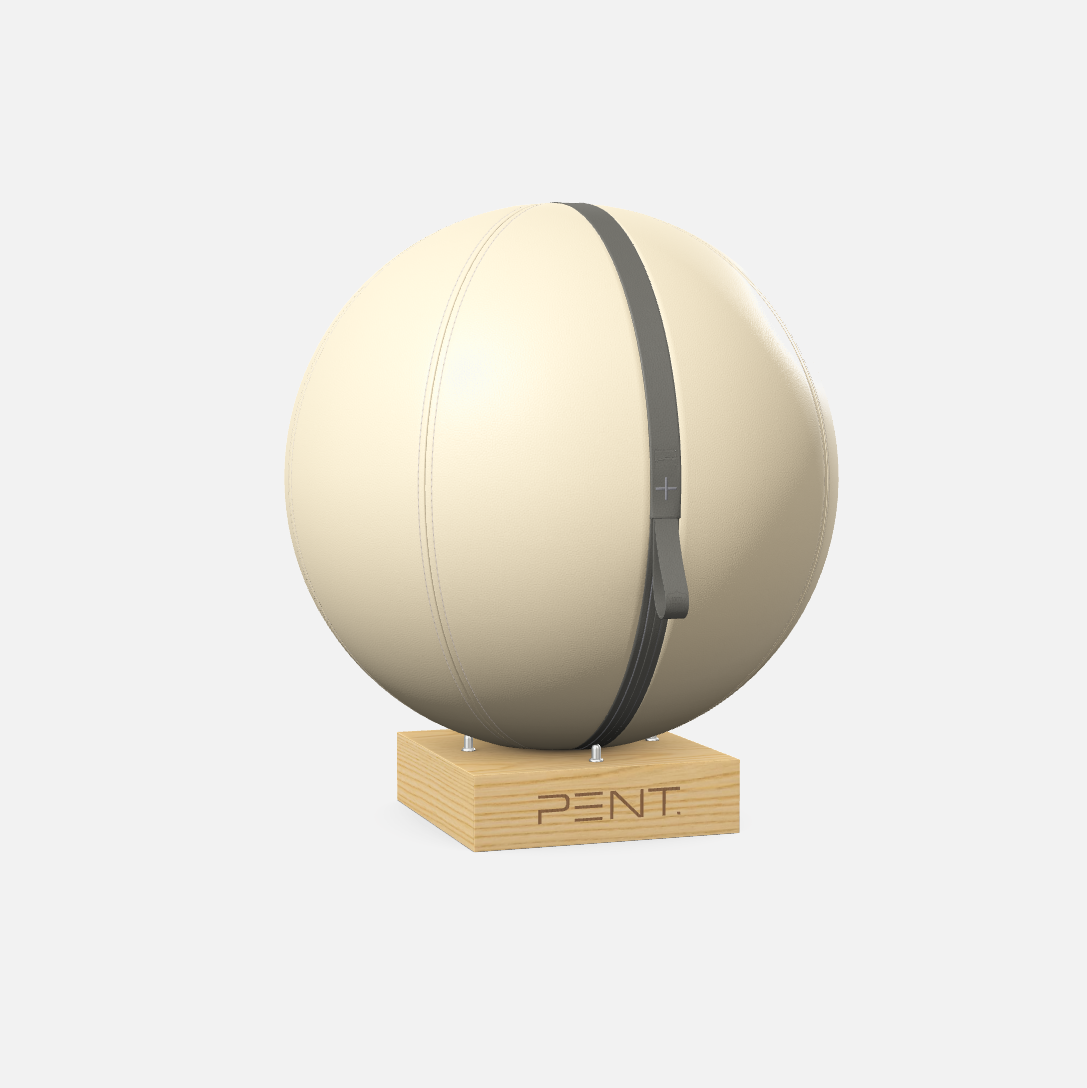 Mesno Exercise Ball