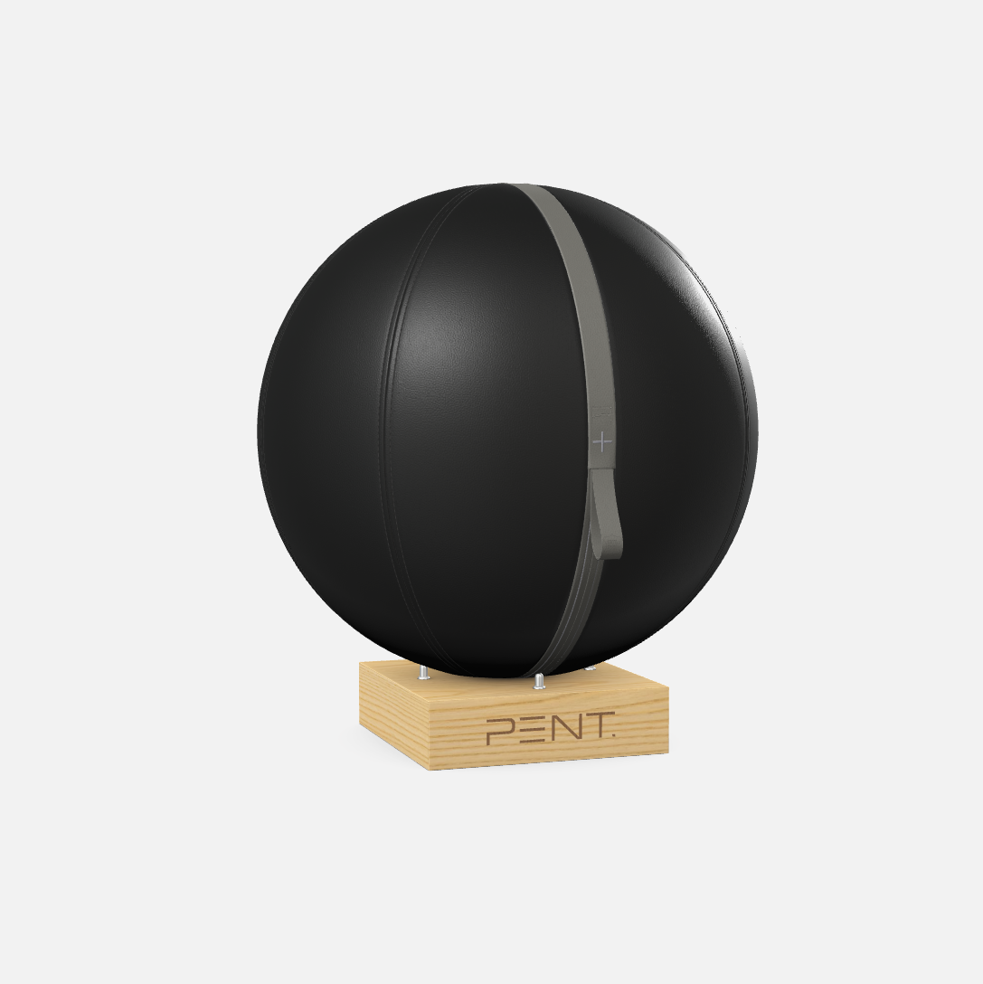 Mesno Exercise Ball
