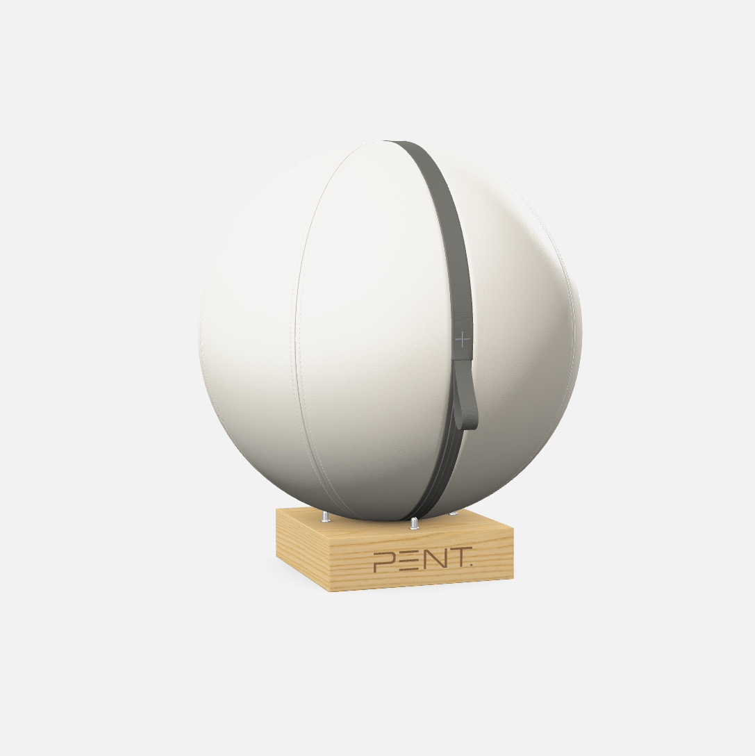 Mesno Exercise Ball