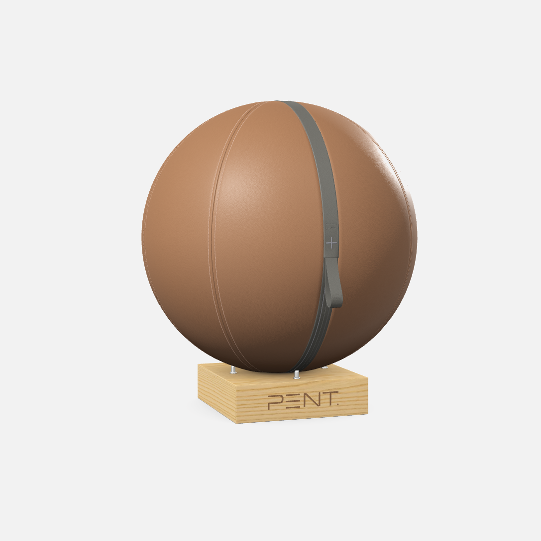 Mesno Exercise Ball